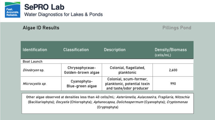 Water Quality Lab Results
