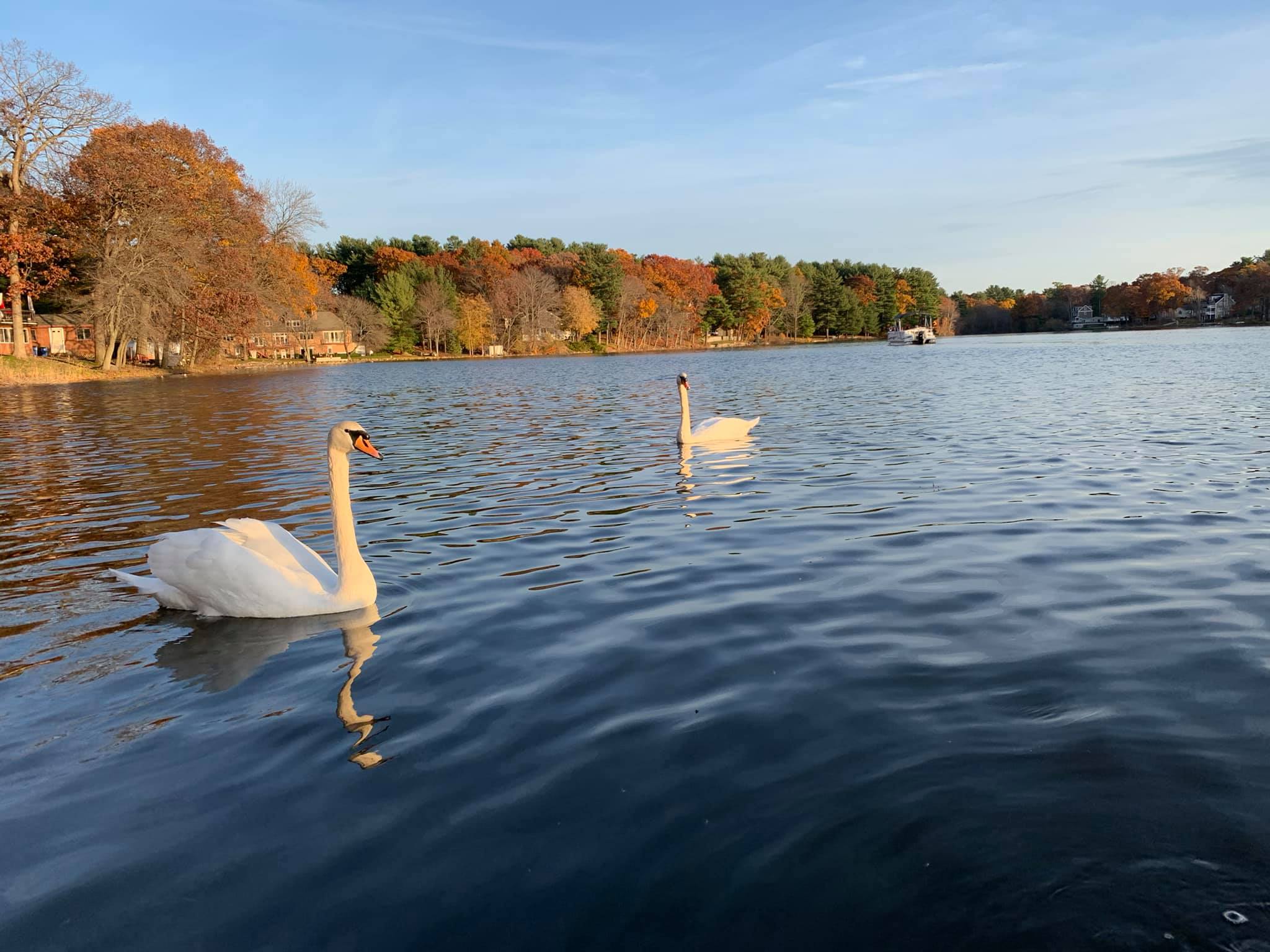 Pillings Pond